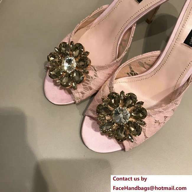 Dolce  &  Gabbana Heel 7cm Slippers Pink In Lace With Crystals 2018